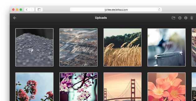 Lychee showcase Open Source Gallery